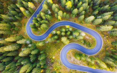 Qual é o tamanho de sua cauda de consultoria? Quatro práticas para começar a lidar com ela