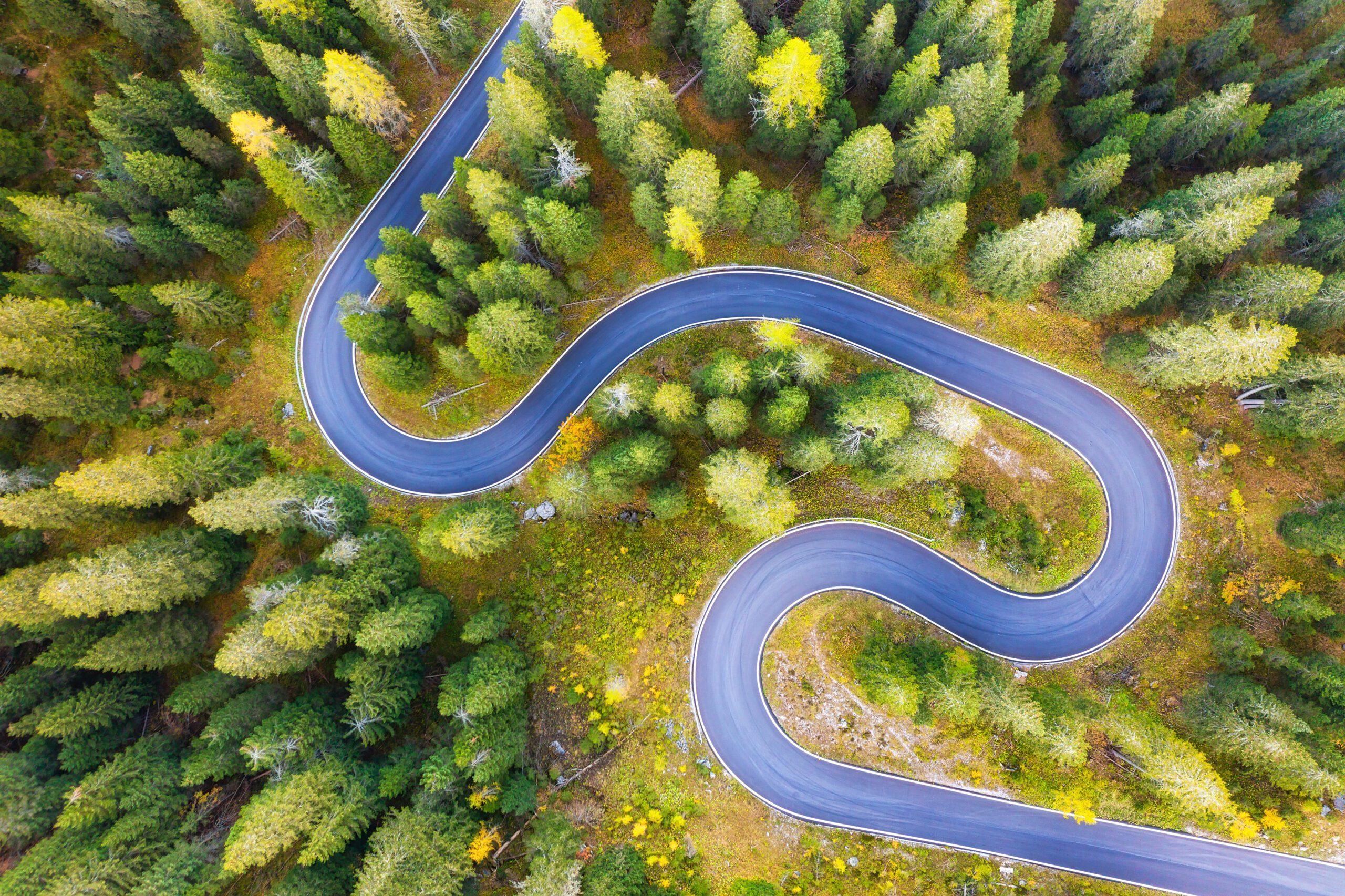 How big is your consulting tail? Four practices to start tackling it